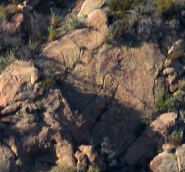 1579 Perspective Shift