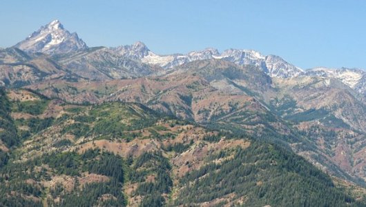 1888 Altered Reality