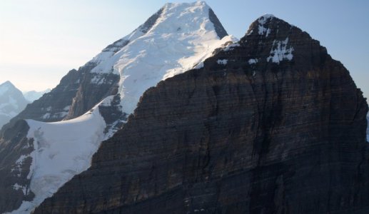 2445 Robson & Neighbor