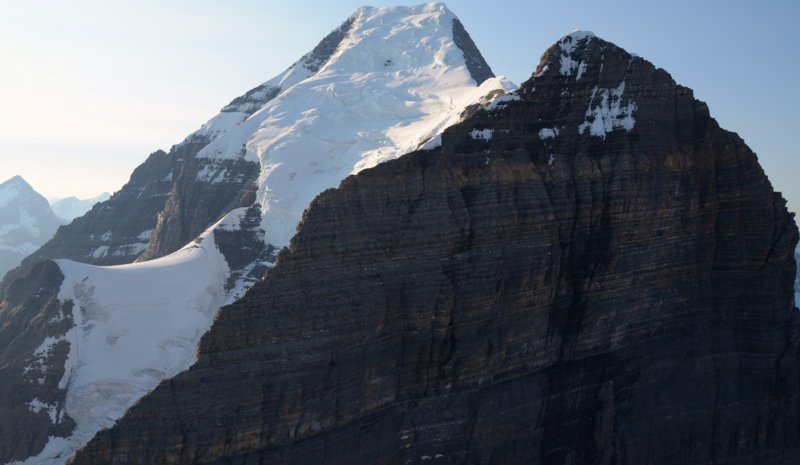 2445 Robson & Neighbor