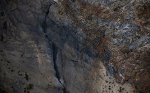 1996 Carved Continental Bones