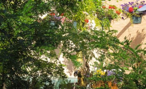 0351 Creston Morning