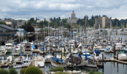 0379 Boats Buildings & Birds