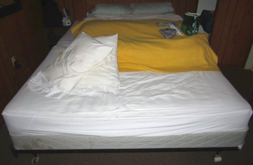 0404 Worst Bed