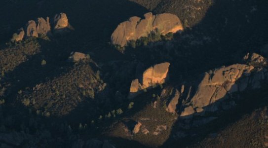 0377 Silent Witness 0377 Silent Witness