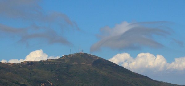 0481 Bushy Cloud Brows