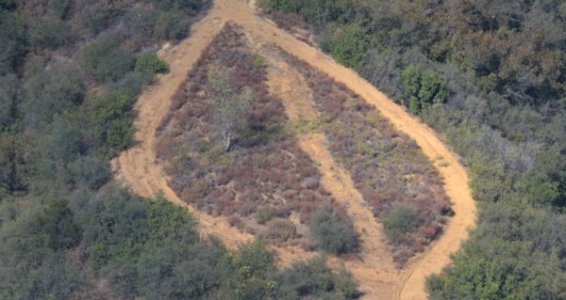 0485 Split Infinitive