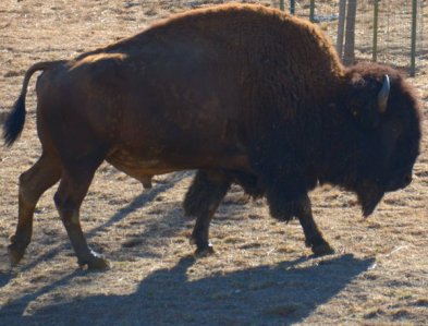 0521 King of the Road