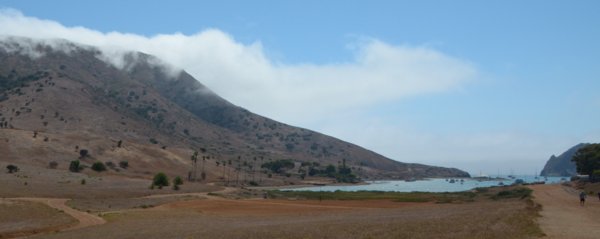 0782 Catalina Harbor