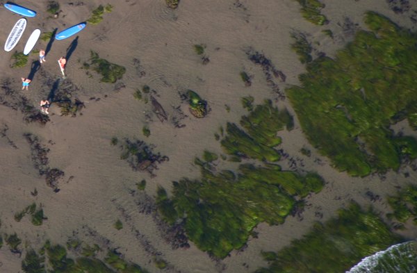 1075 Surfers In Shallows