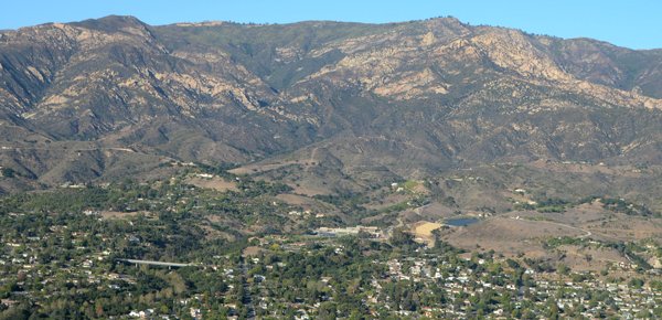 1146 Pale Substitute