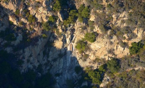 1385 White Tangerine