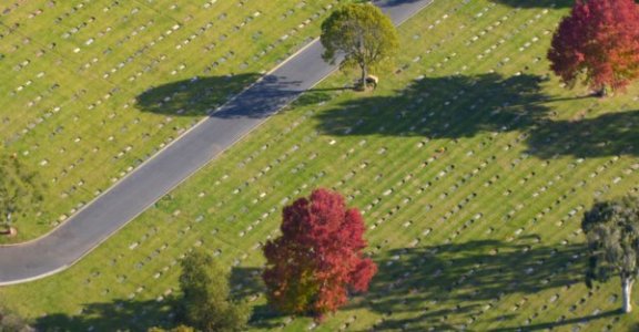 1593 Appreciating Love