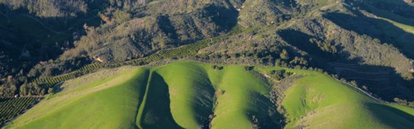 2395 Green Hills of Home