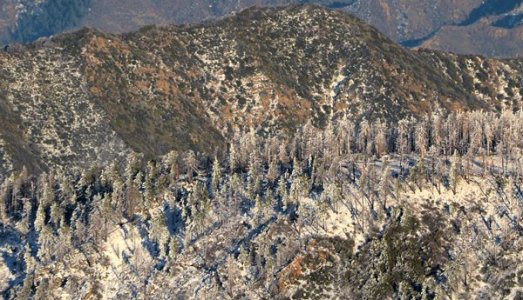 2420 Wintry Wonderland