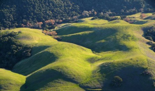 2553 Golden Green Flank