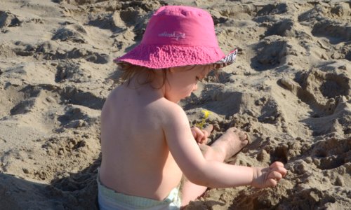 4313 Careful Cultivation