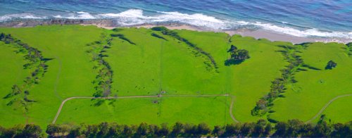 4711~14 Color & Shape