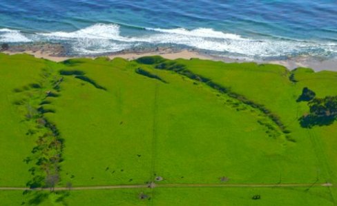 4713 Nourishing Green