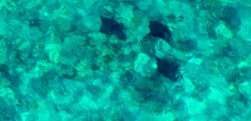 0948 Extreme Serenity