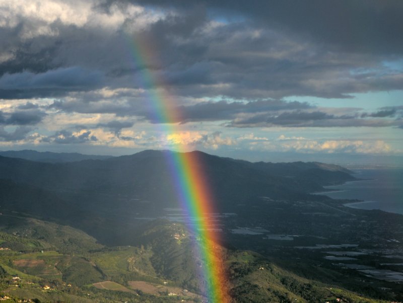 4926 Colorful Division