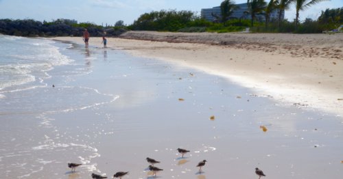 1220 Beach Gathering