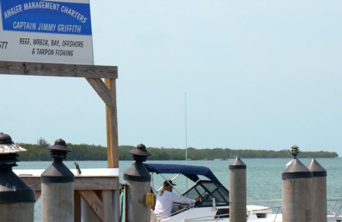 1488 Angler Management