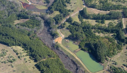 1916 Unnatural Colors