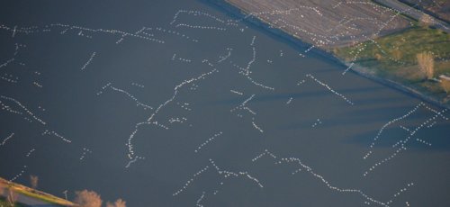 3676 Connect the Dots