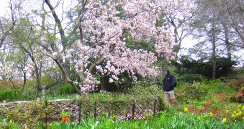 0767 Shakespeare Garden