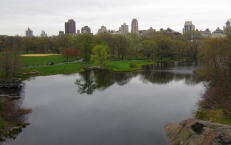 0772 Belvedere Perspective