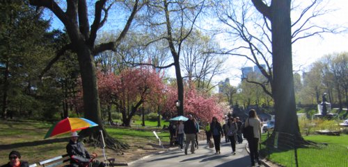 0872 Park Spring Enchantment