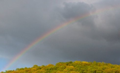 5108 Unbroken Thread