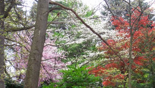 0996 Clarion, PA Spring