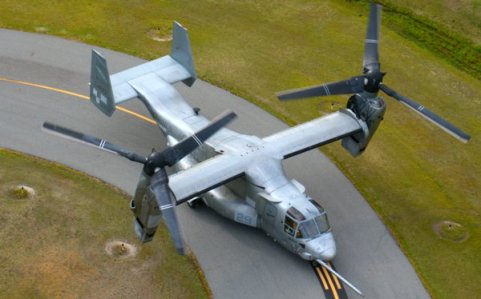 2592 Osprey Waiting