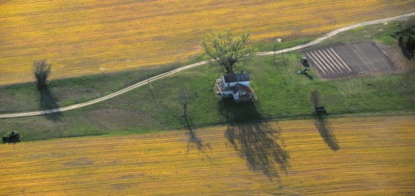 2614 Remains of the Day