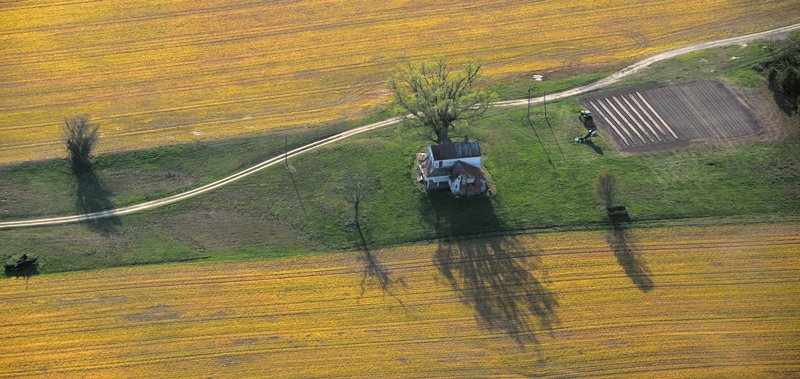 2614 Remains of the Day