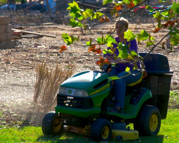 3835 Memories In Action