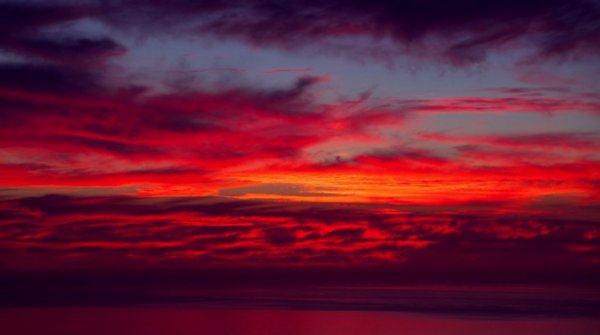 3991 Contemplative Light