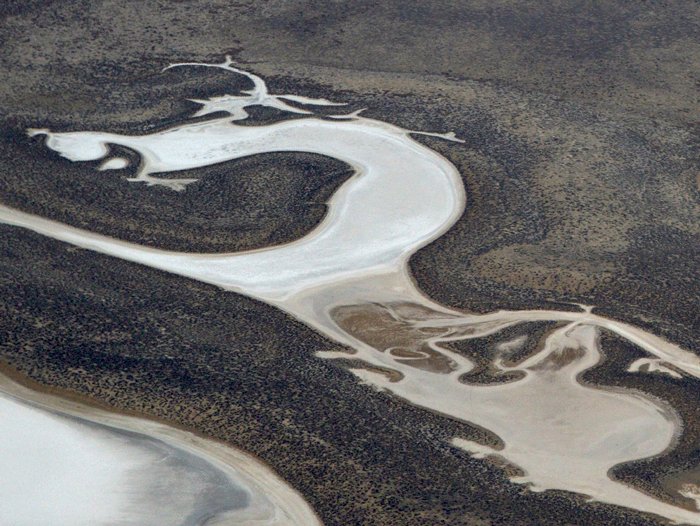 0328 Romping Reindeer