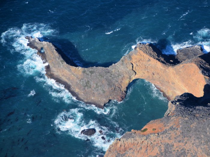 1537 Santa Cruz Arch