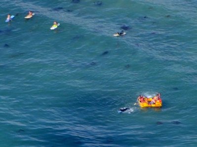 3613 Rafting Voyagers