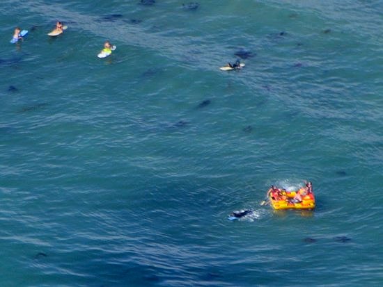 3613 Rafting Voyagers