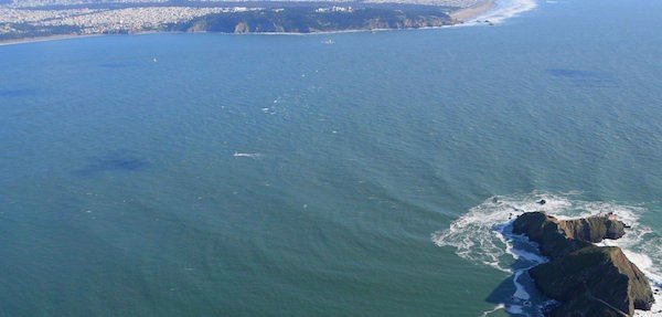 4009 Bonita Point Perspective