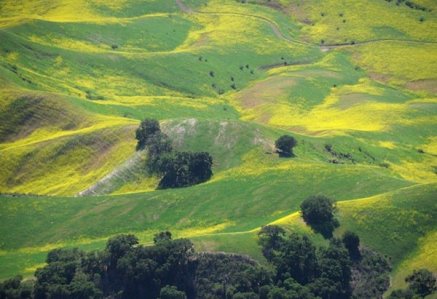 2466 Spring Hillside Palette