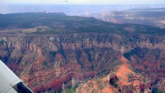 6492 Huddling For Crossing