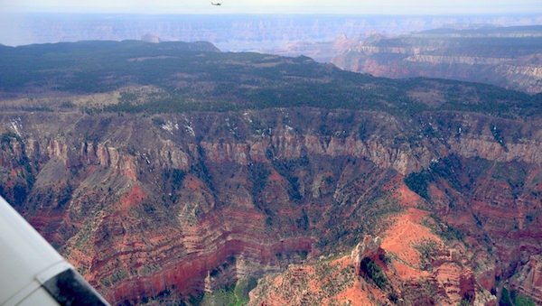 6492 Huddling For Crossing