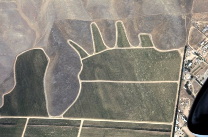 DSC_1605-Cartoon puzzle