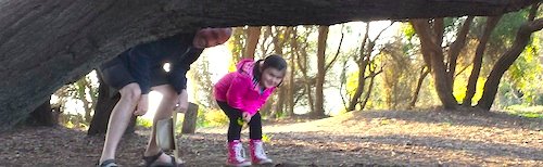 165852 Enchanted Grove