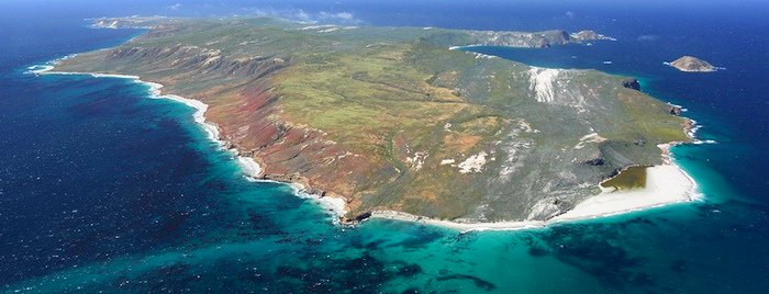 2248 Bahamian Miguel